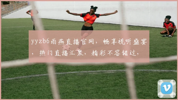 yyzb6雨燕直播官网，畅享视听盛宴，热门直播汇聚，精彩不容错过，一键直达