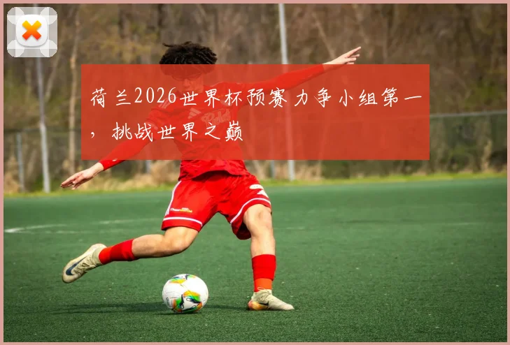 荷兰2026世界杯预赛力争小组第一，挑战世界之巅